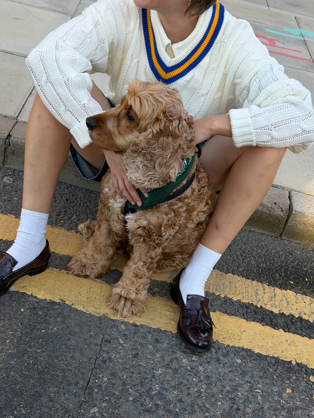 British Cricket Sweater
